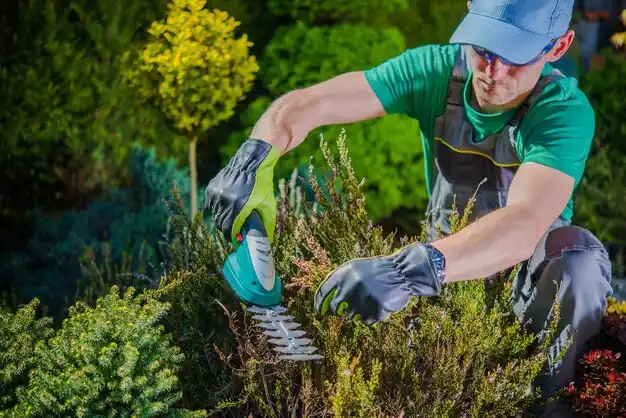 landscaping services Bellwood